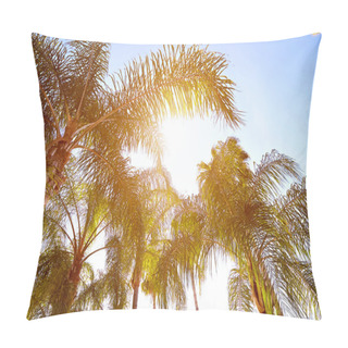 Personality  View Of Palm Trees Against Sky Pillow Covers