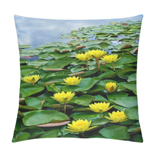 Personality  Yellow Waterlilies In Pond Pillow Covers