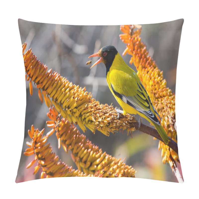 Personality  Black-headed Oriole Sitting On Yellow Aloe Catch Bees. Pillow Covers