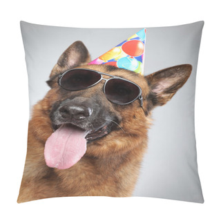 Personality  German Shepherd In Cone And Dark Sunglasses Pillow Covers