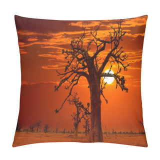 Personality  Africa Sunset In Baobab Trees Colorful Pillow Covers