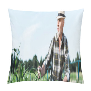 Personality  Panoramic Shot Of Senior Man Sitting Near Corn Field  Pillow Covers
