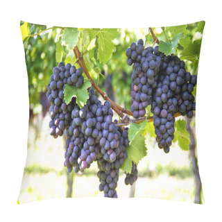 Personality  Red Grapes With Green Leaves On The Vine. Vine Grape Fruit Plant Pillow Covers