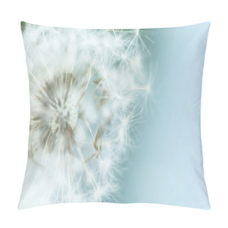 Personality  Flying Dandelion Seeds Pillow Covers