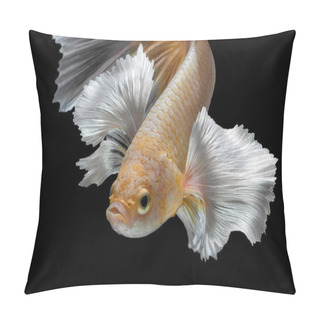 Personality  Abstract Art Movement Of Colourful Betta Fish,Siamese Fighting Fish Isolated On Black Background. Pillow Covers