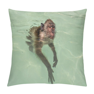 Personality  Crab-eating Macaque Monkey (Macaca Fascicularis) Swimming In Sea Water. Koh Phi Phi, Thailand. Pillow Covers