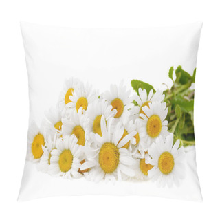Personality  Closeup Shot Of Wild Camomiles Over White Background Pillow Covers