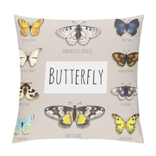Personality  Set Of Butterflies With Space For Text Pillow Covers