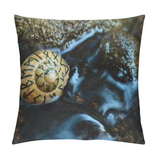 Personality  Shell With Norse Runes In Evening River Water. Pillow Covers