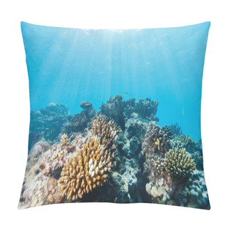 Personality  Coral Reef Underwater Pillow Covers