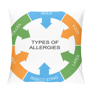 Personality  Types Of Allergies Word Circle Concept Pillow Covers