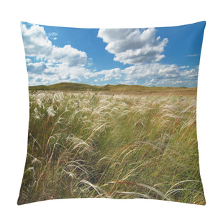 Personality  Feather Grass Pillow Covers
