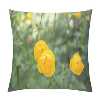 Personality  Colorful Yellow Globe-flowers With Green Leaves. Green Blured Grass. Pillow Covers