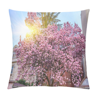 Personality  Blooming Magnolia Tree Against The Background Of An Old House, Ukraine Pillow Covers