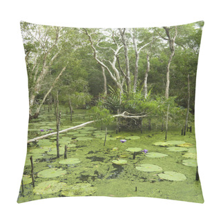Personality  Lush Wetlands. Pillow Covers