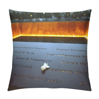 Personality  Ground Zero. Pillow Covers