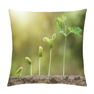 Personality  Young Baby Plants Pillow Covers