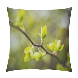 Personality  Green Leaves Of Bushes. Spring. Soft Selective Focus. Artificially Created Grain For The Picture Pillow Covers