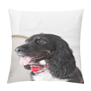 Personality  Dog Spaniel In A Red Bow Tie In The Interior Of The Light Room. Pet Is Three Years Old Sitting On A Chair. Red Checkered Necktie. Best And Faithful Friend Pillow Covers