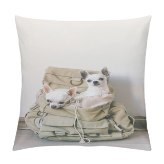 Personality  Close Up View Of Little Chihuahua Puppies In Travelling Backpack Pillow Covers