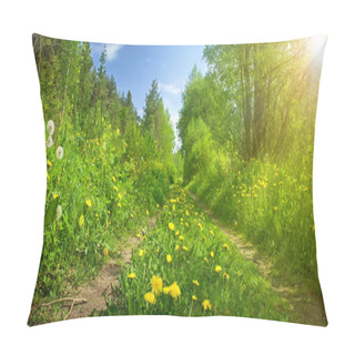 Personality  Asphalt Road In The Forest Pillow Covers