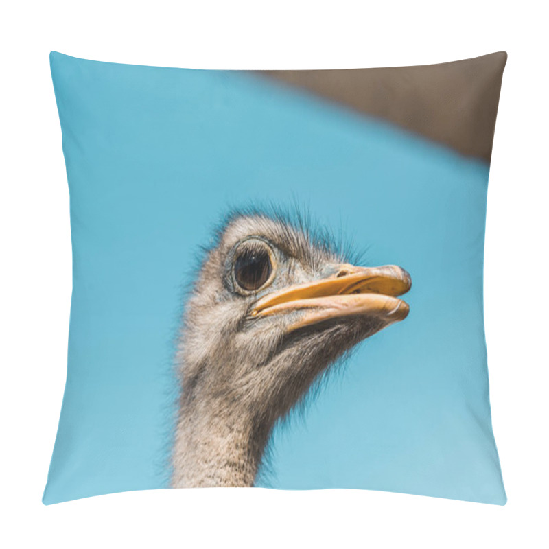 Personality  selective focus of beautiful ostrich against blue sky pillow covers