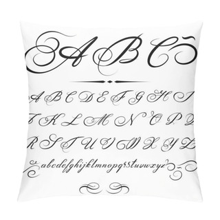 Personality  Vector Hand Drawn Calligraphic Alphabet Based On Calligraphy Masters Of The 18th Century Pillow Covers