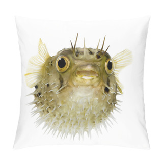 Personality  Long-spine Porcupinefish Also Know As Spiny Balloonfish - Diodon Pillow Covers