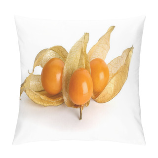 Personality  Physalis Fruits Close Up On White Background Pillow Covers