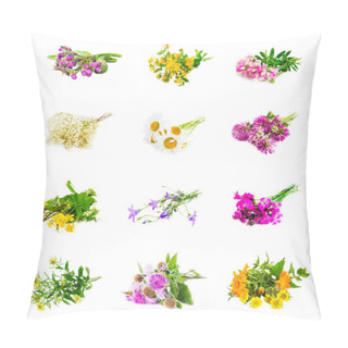 Personality  Natural Medicinal Plants Collage Isolated Pillow Covers
