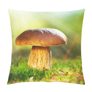 Personality  Cep Mushroom Growing In Autumn Forest. Boletus Pillow Covers