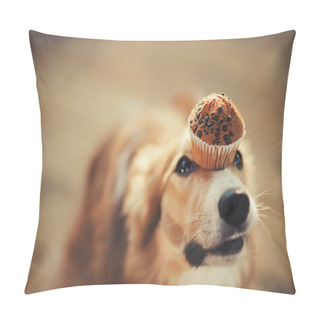 Personality  Border Collie Dog Keeps Cake On Her Nose Pillow Covers