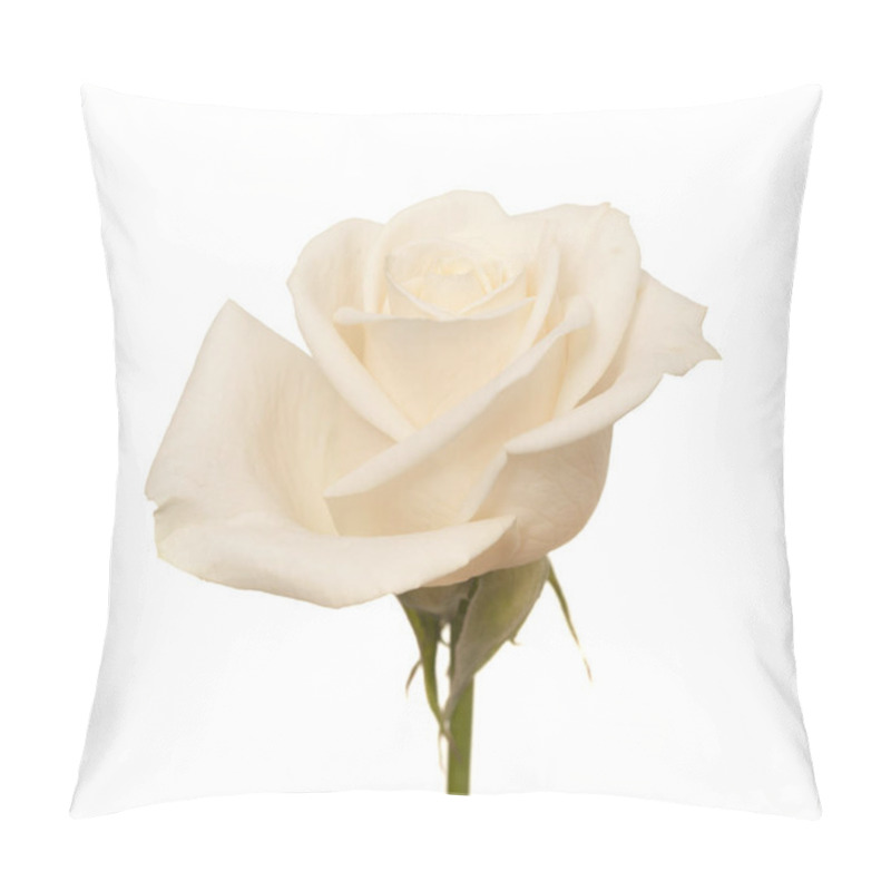 Personality  very pale rose pillow covers