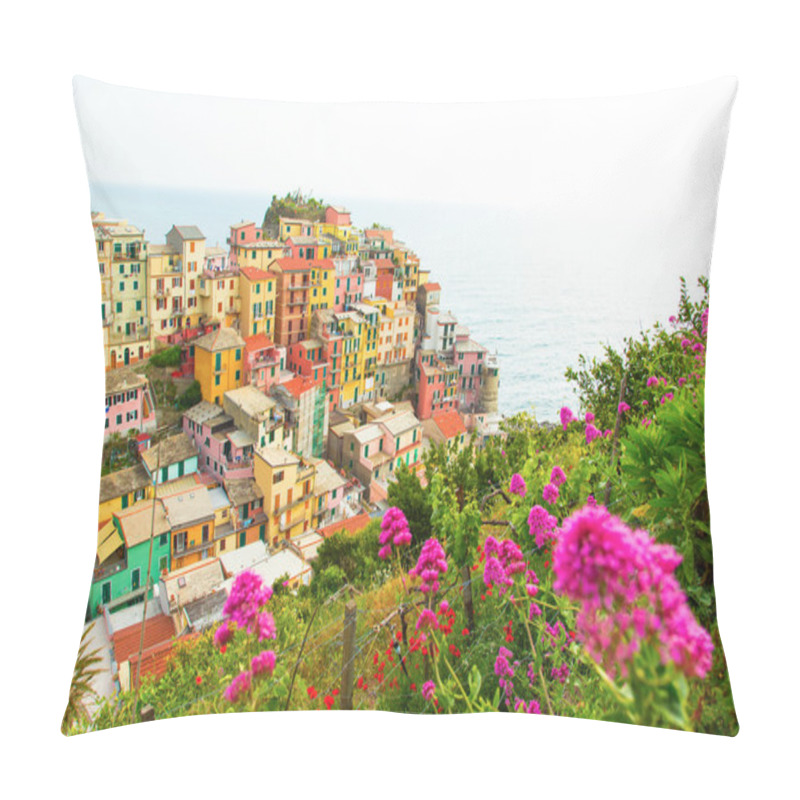 Personality  Manarola village on the Cinque Terre coast. pillow covers