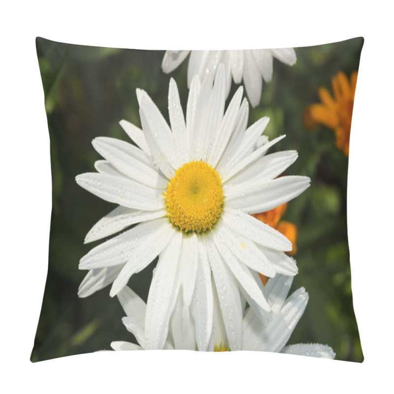 Personality  Chamomile flower after rain pillow covers