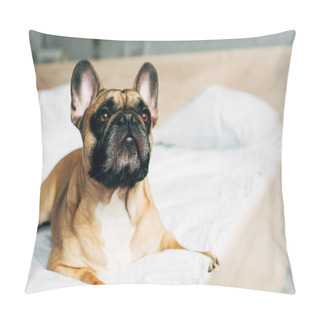 Personality  Cute Purebred French Bulldog Lying On White Bedding At Home  Pillow Covers