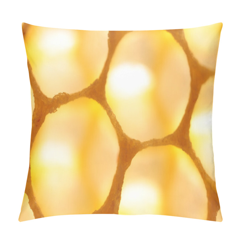 Personality  Empty Honeycomb Pillow Covers