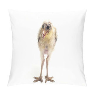 Personality  A Chick Of Barn Owl Tyto Alba Isolated On White Background Pillow Covers