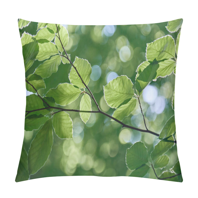 Personality  Detail of fagus sylvatica or beech tree green foliage pillow covers