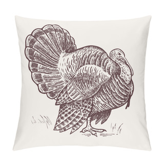Personality  Graphic Illustration - Poultry Turkey. Pillow Covers