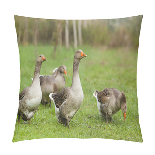 Personality  Wild Geese Pillow Covers