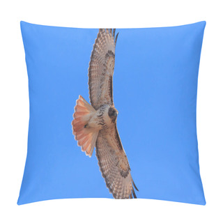 Personality  Red Tailed Hawk Pillow Covers