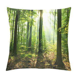 Personality  Beautiful Sunny Morning In Deciduous Forest Pillow Covers