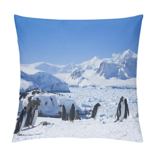 Personality  Large Group Of Penguins Pillow Covers
