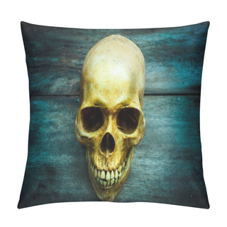 Personality  Still Life With A Skull Human. Pillow Covers