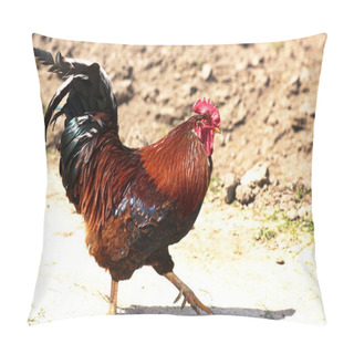 Personality  Free-range Chicken And A Handsome Rooster Pillow Covers