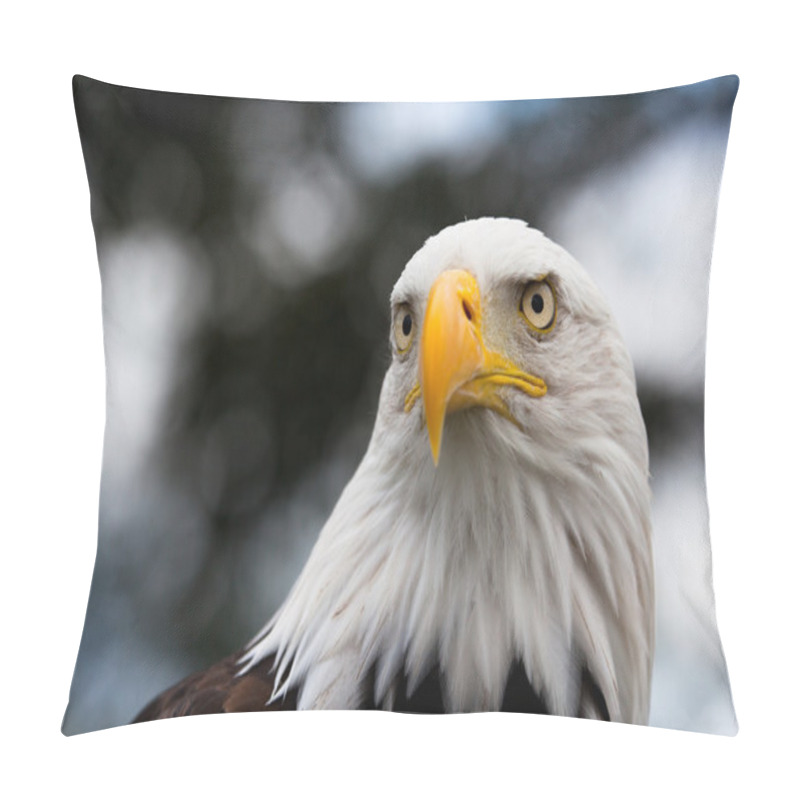 Personality  Eagle head pillow covers