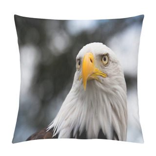 Personality  Eagle Head Pillow Covers
