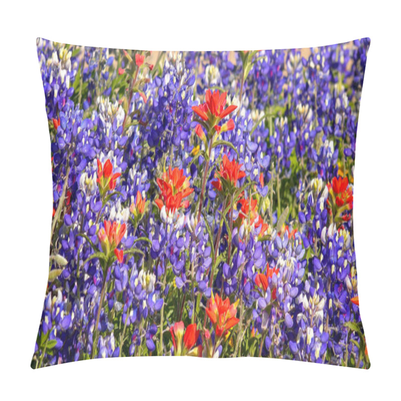 Personality  Spring Wildflowers in Central Texas - background pillow covers