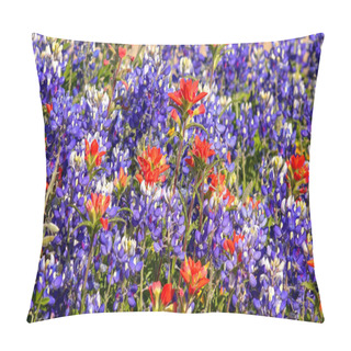 Personality  Spring Wildflowers In Central Texas - Background Pillow Covers